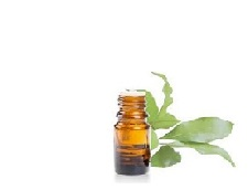 aromatherapie_axelle_vuillemot