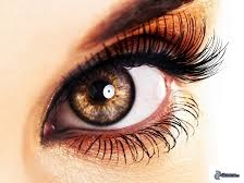 iridologie_axelle_vuillemot